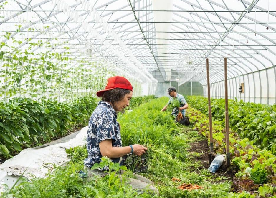 Coop les Jardins de la Résistance
